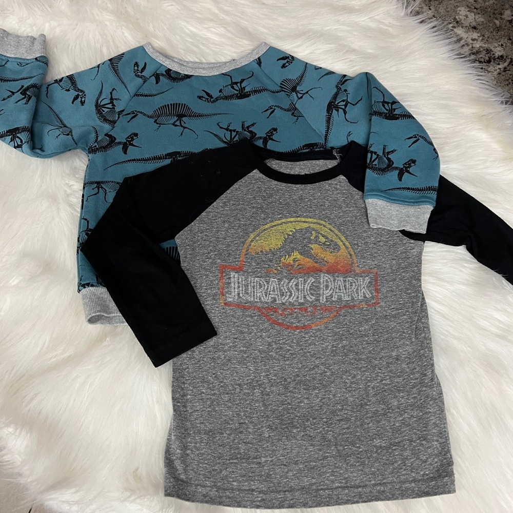 Toddler Sweatshirt and long sleeve Dinosaur Shirt